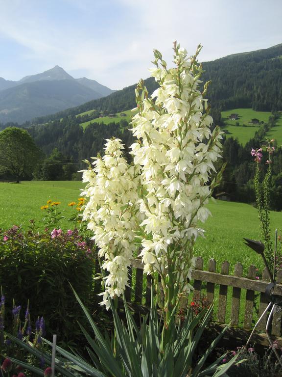 Apartment Acker Alpbach Exterior foto
